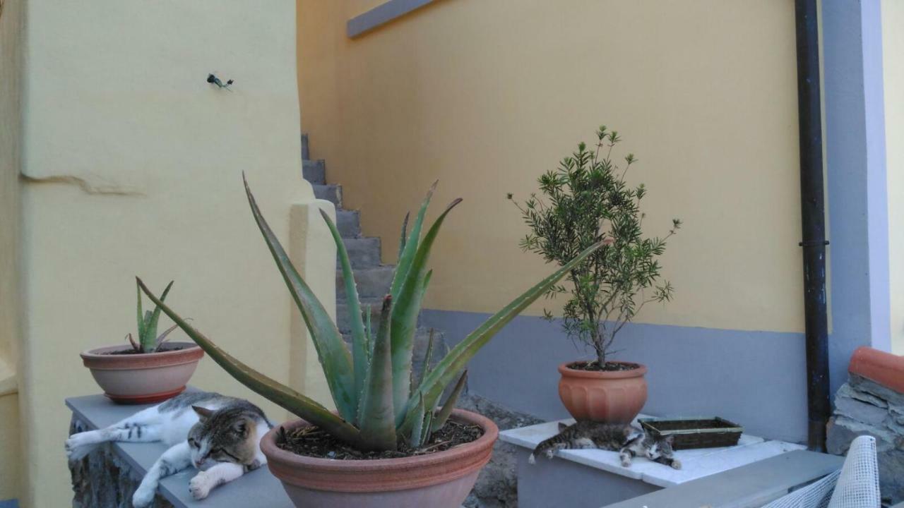 La Stanzetta Viola Hotell Fezzano  Exteriör bild